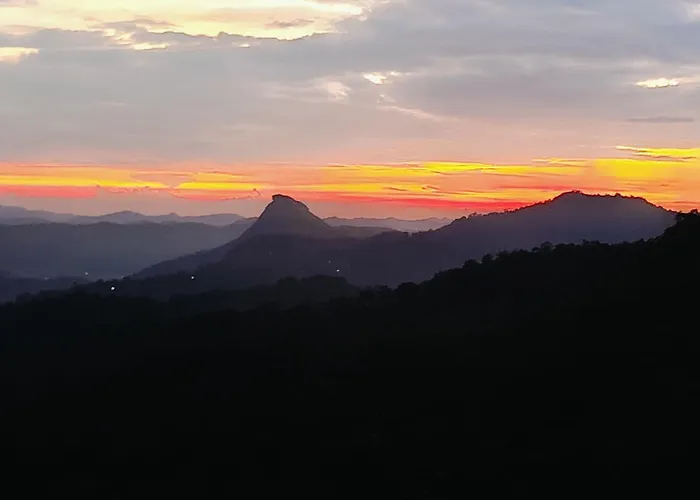Nandana\'S Residency Munnar