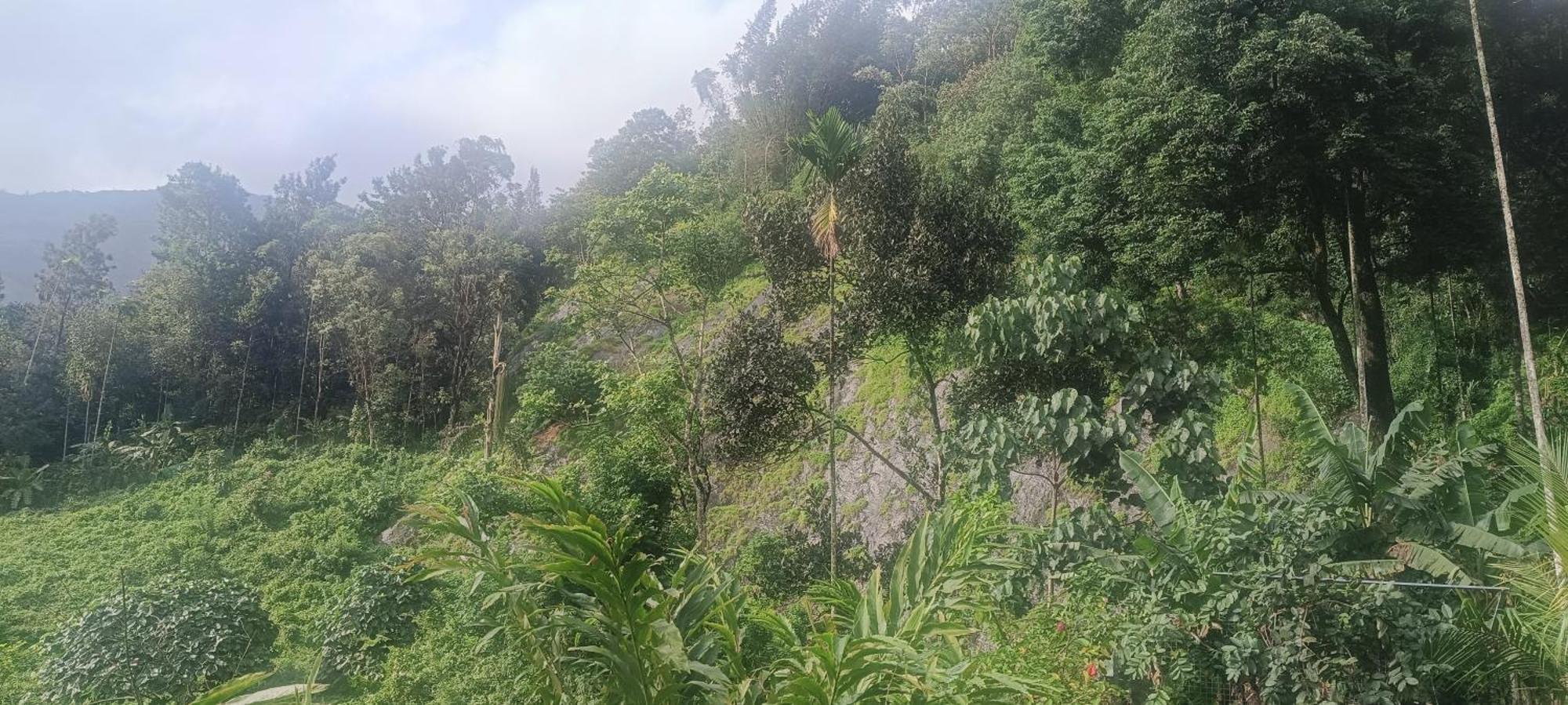 Homestay Nandana's Residency Munnar